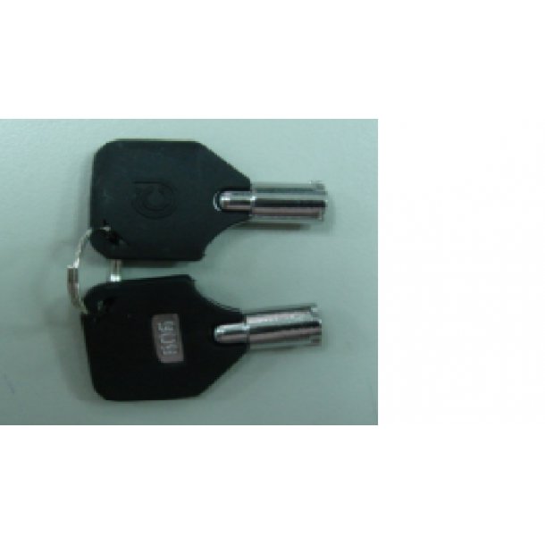 2 pcs. Extra Keys to Vivotek's NVR Hard Lock