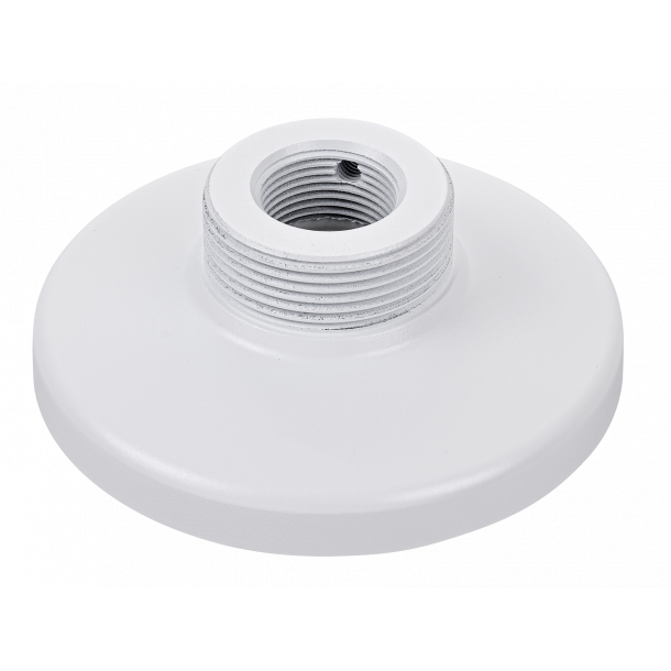 Vivotek Pendant Head